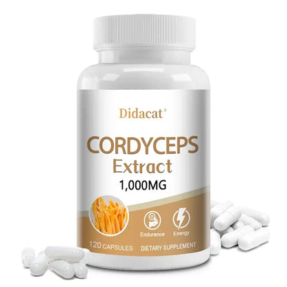 Cordyceps Sinensis para energía y bienestar general.